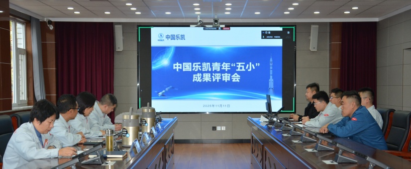 激揚青春智造力！中國樂凱團委召開青年&ldquo;五小&rdquo;成果評審會